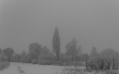 In den Wieden Naturschutzgebied in Neunkirch SH