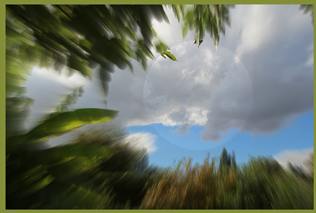 plongée vers les nuages