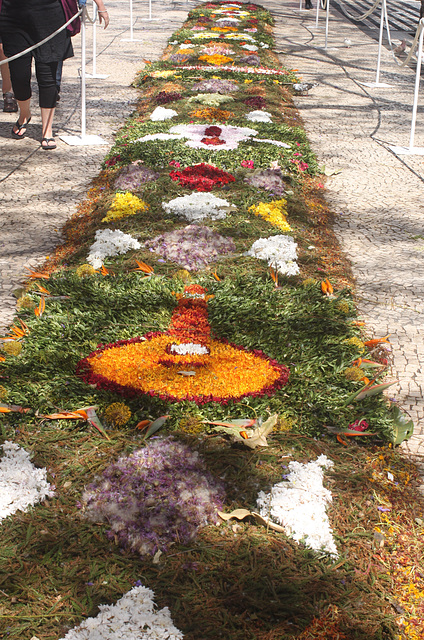 Floral Display