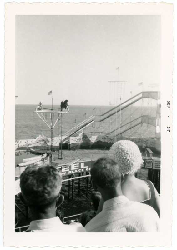 Bear on a Bicycle at the Steel Pier, Atlantic City, N.J., 1957