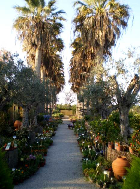 Garden of Geojardim.