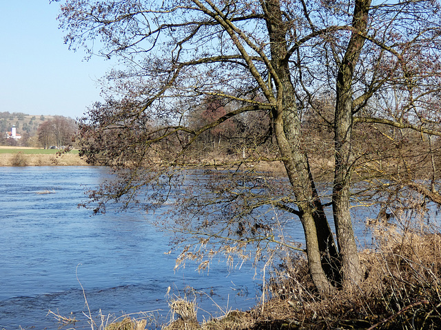 an der Naab