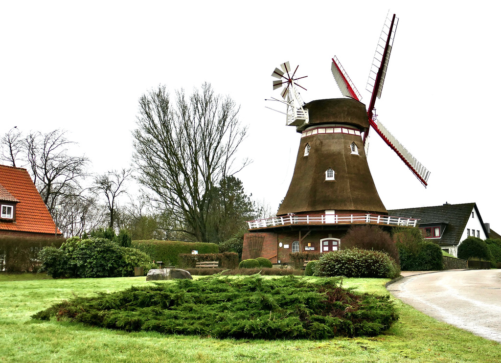 Windmühle in Bederkesa    (PiP)