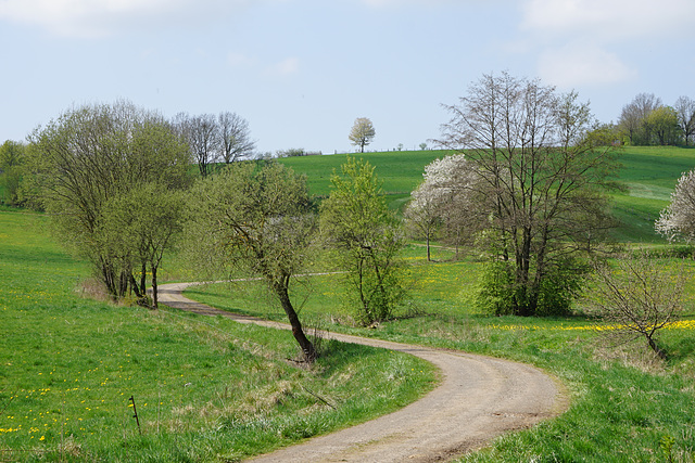 Feldweg am Krücker