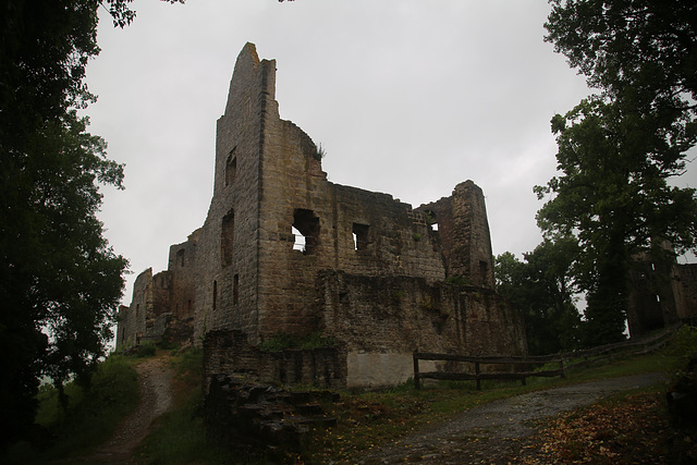 Burgruine Homburg