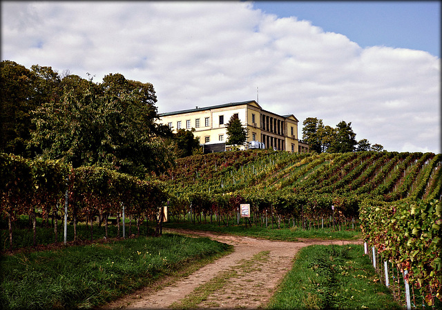 Villa Ludwigshöhe