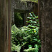 "lost place" im Mata-Jardim José do Canto (© Buelipix)