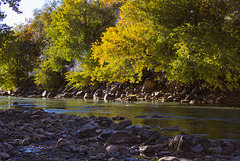 Arkansas River in Cañon City