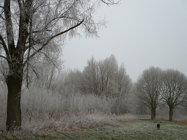 Het is koud in de Lieskampen