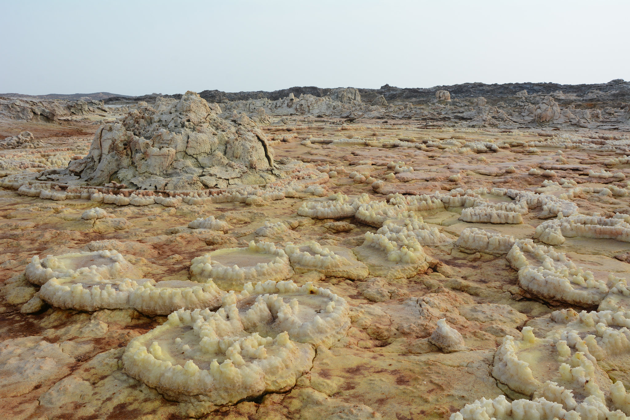 Ethiopia, Danakil Depression, Circular Patterns of Crystallized Potassium Salt in The Crater of Dallol Volcano