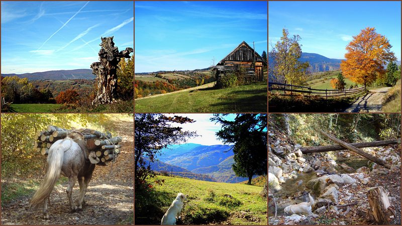 Autumn in my village