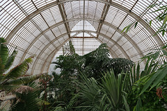 The Palm House