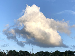 This Cloud