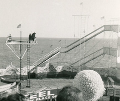 Bear on a Bicycle at the Steel Pier, Atlantic City, N.J., 1957 (Cropped)