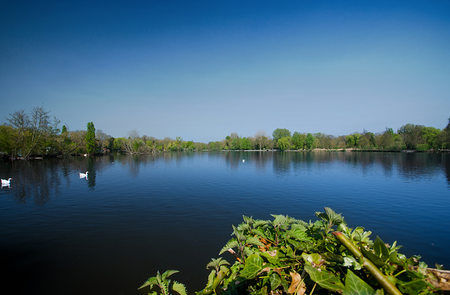 Etangs de vert-le-petit