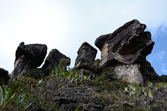 Venezuela, Roraima, The Surface Topography of the Weathered Rocks