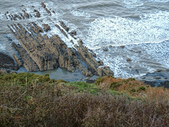 Hartland makes great rock pools when the tide has gone out