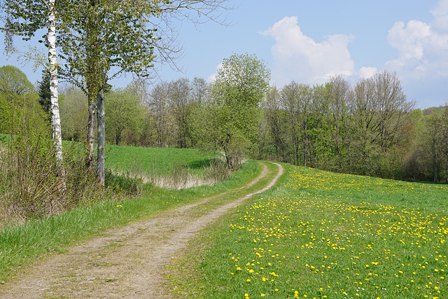 Wanderweg am Krücker