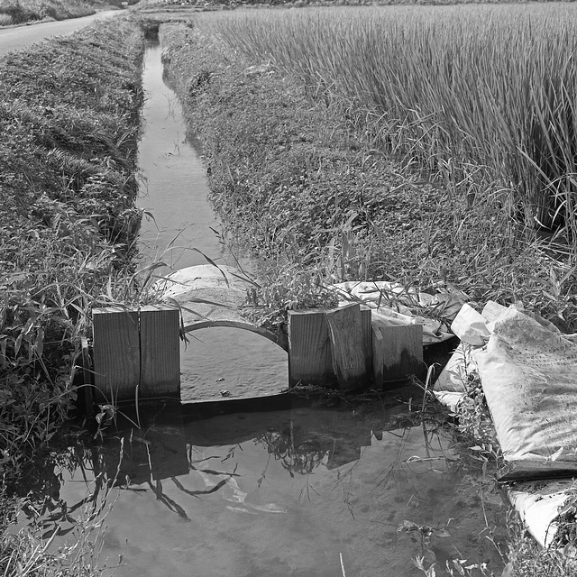 Irrigation ditch