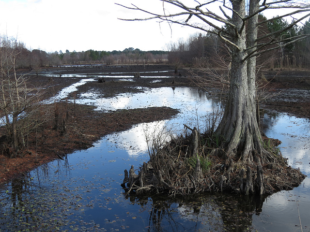 Loakfoma Lake