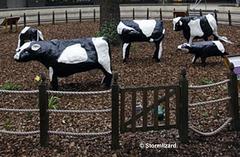 Milton Keynes has Concrete Cows S05 01