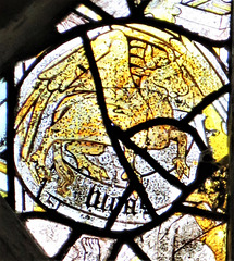 burford church, oxon (131) winged bull of st luke, c15 glass
