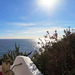 Menorca, 84 Menorca, 84