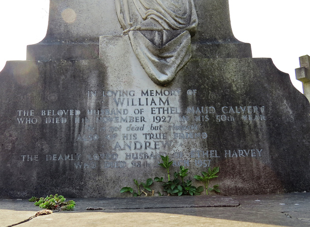 st marylebone cemetery, east finchley, london