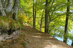 La balade au lac Pavin...