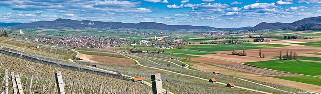 Blick ins Klettgau