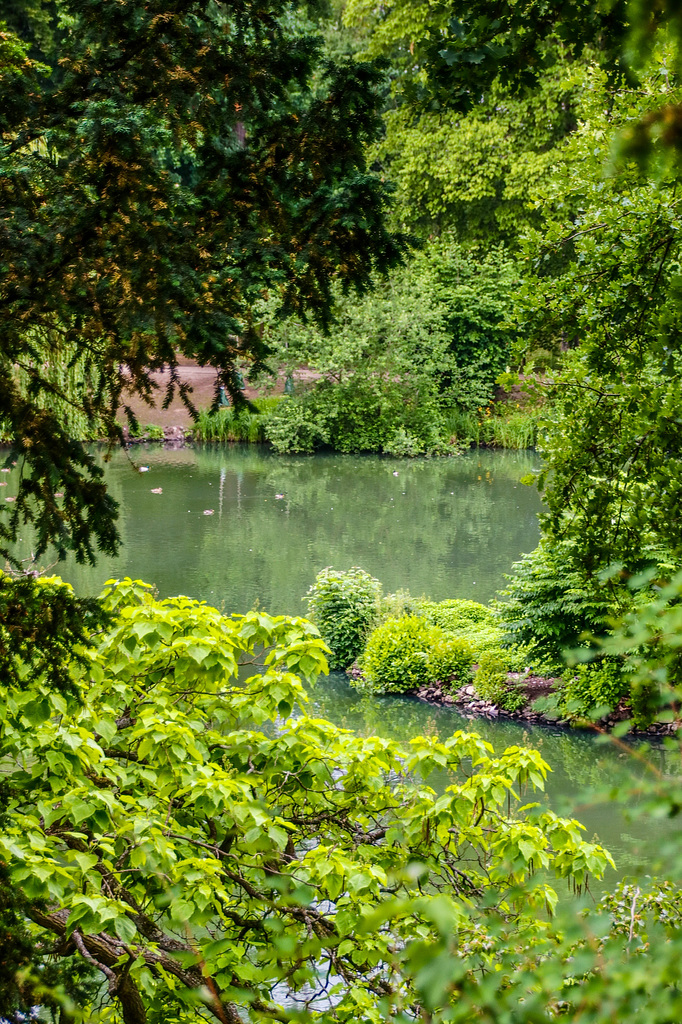 Schöne Heimat: Der Schlosspark in Bad Homburg