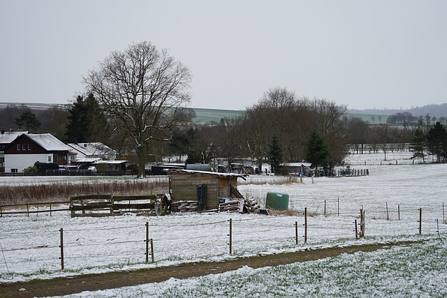 Schnee auf den Feldern