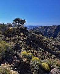 Little Blitzen Overlook