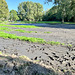 At the end of the Summer, the pools dry up