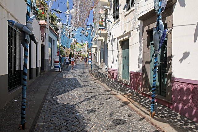 Câmara de Lobos (13)