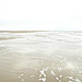 Einsamkeit am Rande der Sandbank (High Key)