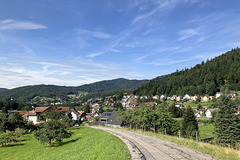 Auf jeden Fall...bukolisches Bühlertal.