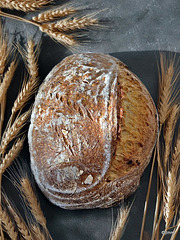 Cotswold Crunch Sourdough with Avocado Oil