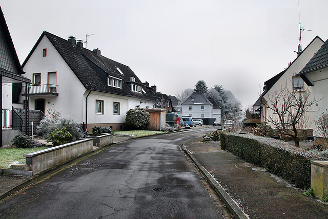Erlemannsweg (Dortmund-Asseln) / 20.01.2025