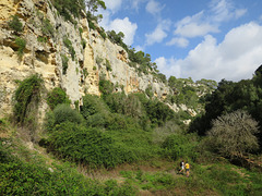 Barranc d'Algendar