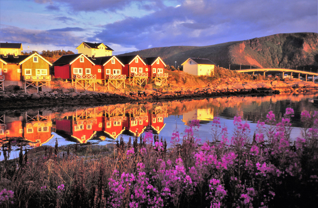 Fischerhäuser in der Abendsonne auf den Vesterålen ( Weidenröschen für Tacheles)