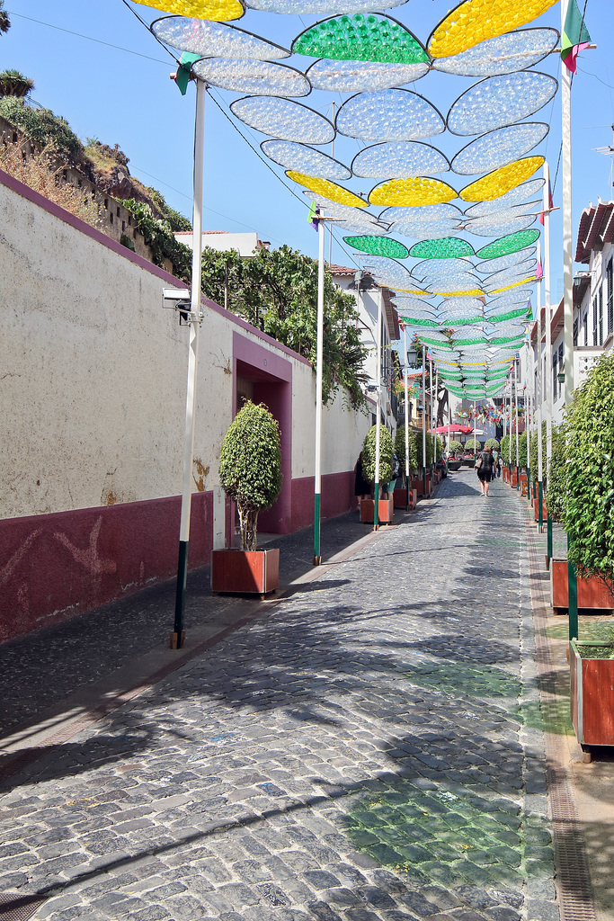 Câmara de Lobos (14)