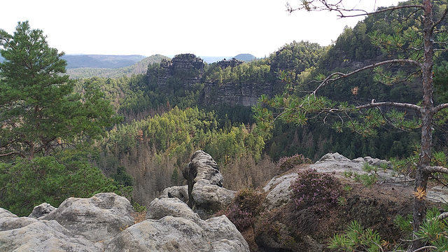 Aussicht Gehakter Weg