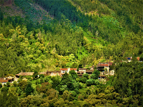 Slopes of S. Simão