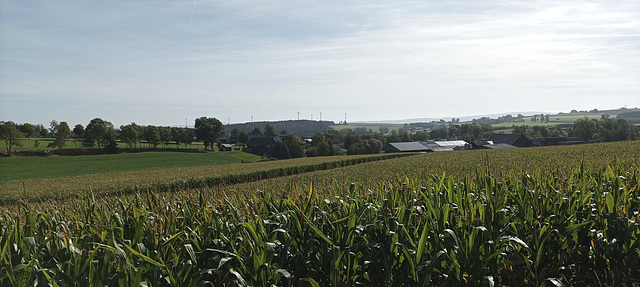 Fränkischer Jakobsweg: Hof -Helmbrechts