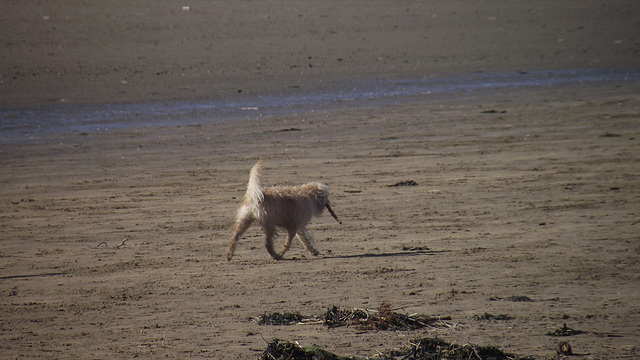 He was determined to keep his stick