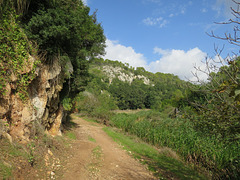 Barranc d'Algendar