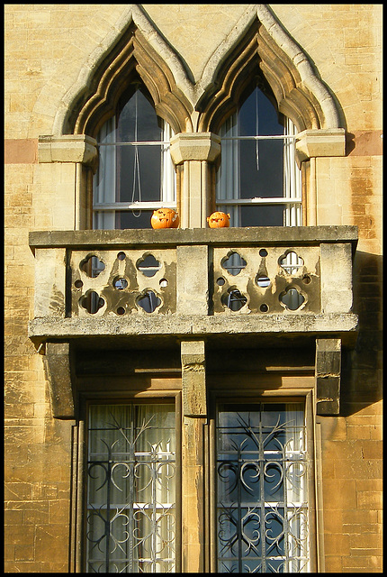 more college pumpkins