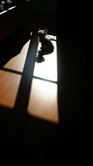 ... ombres ...