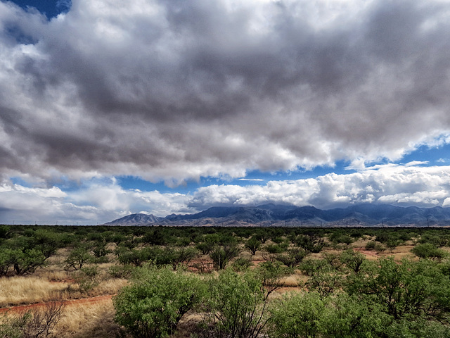 The Huachuca Mountains